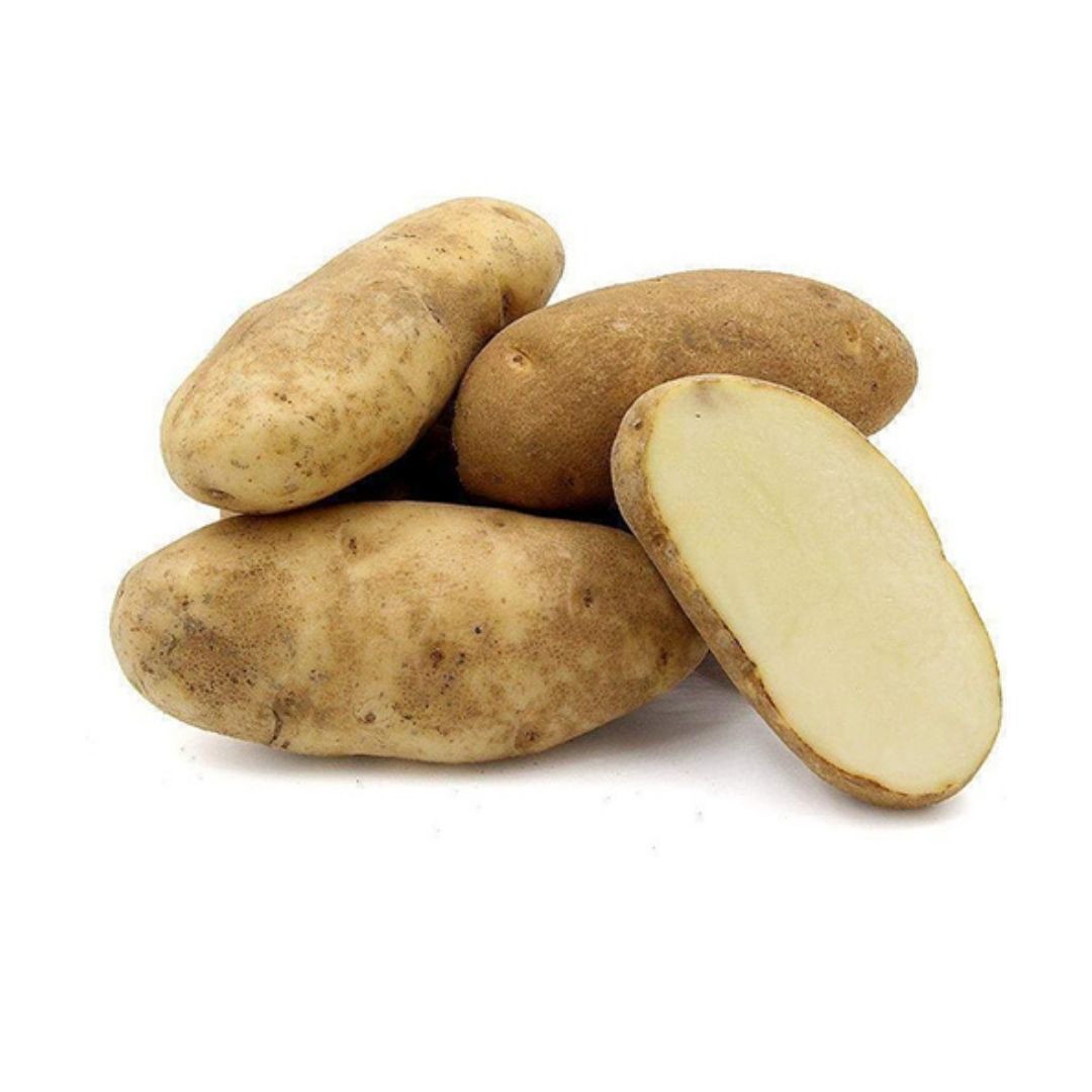 0006861 Potato Idahorusset