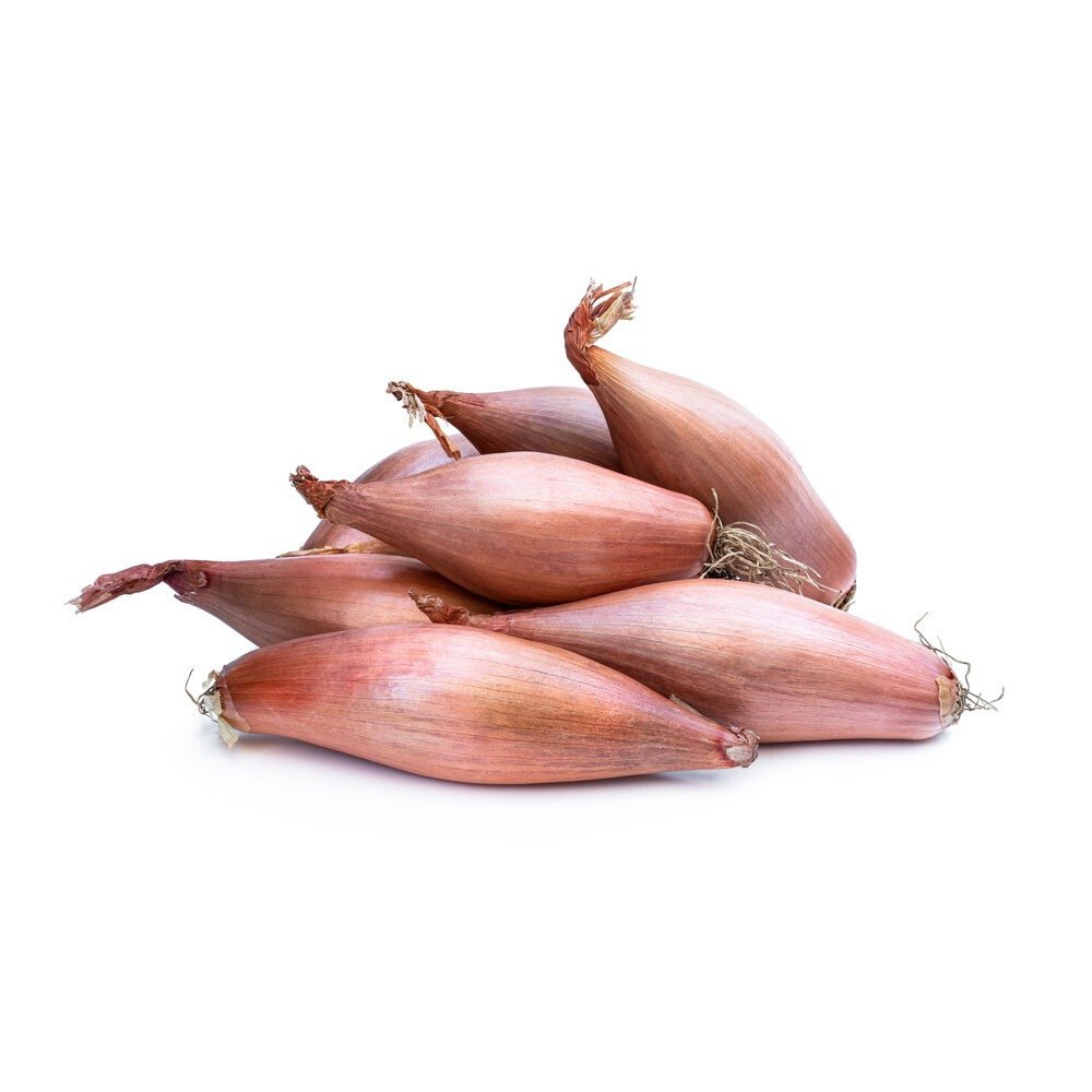 202210052022 17008 Preview