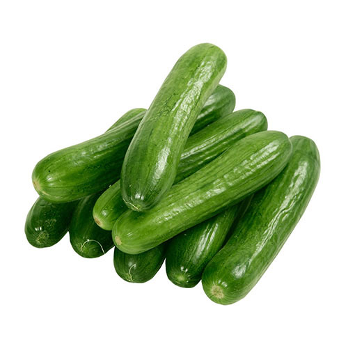 CUCUMBER SAUDI KG