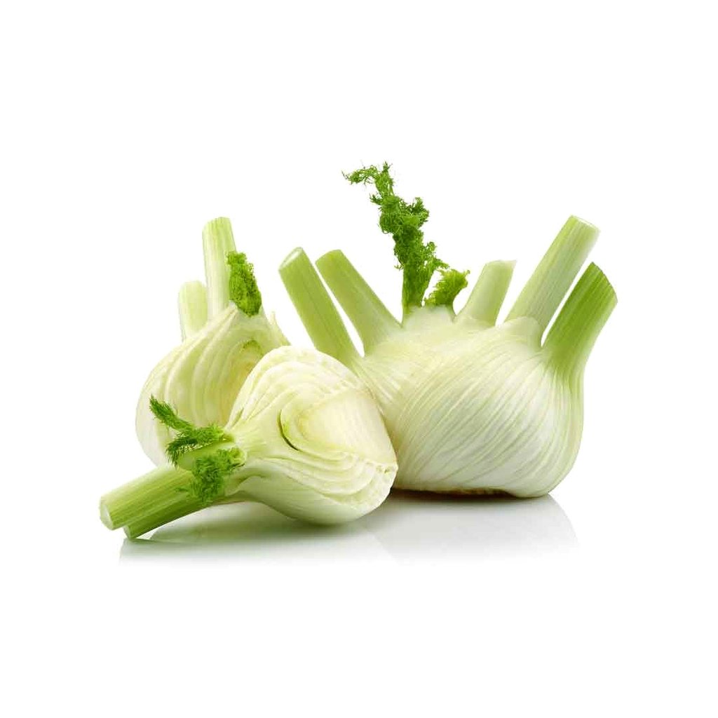 Fennel Jordan 01 001 1024x1024