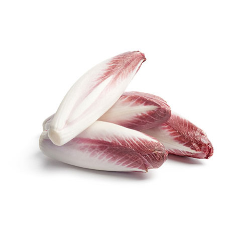 RED INDIVE HOLLAND KG