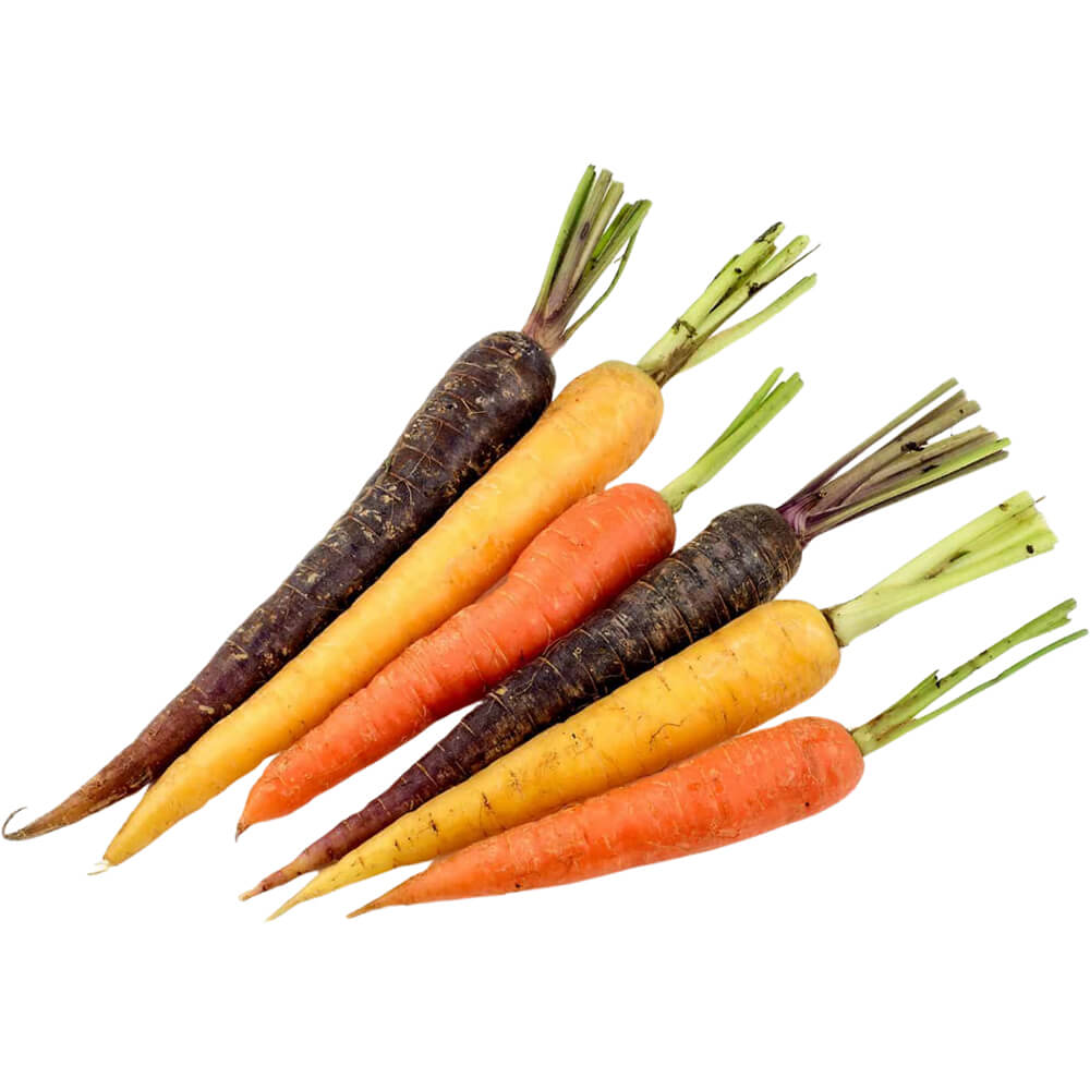 Baby Carrot Rainbow Freshleaf Dubai Uae Img03