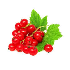 Download 2025 11 24T140742.042