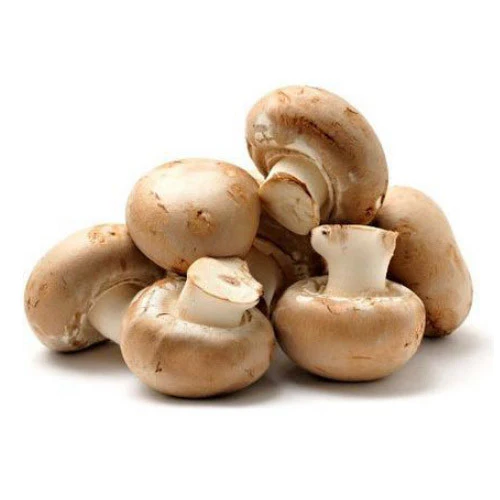 Fresh Button Mushroom 500x500@2x