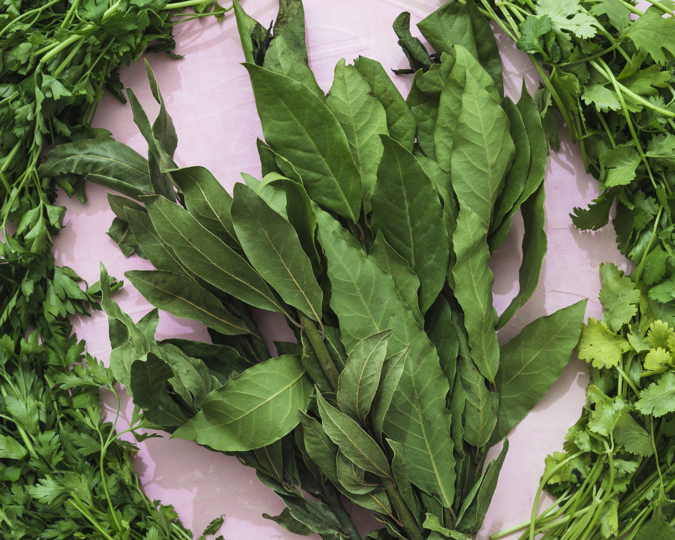 Modern Helathy Ingredients Composition Scaled